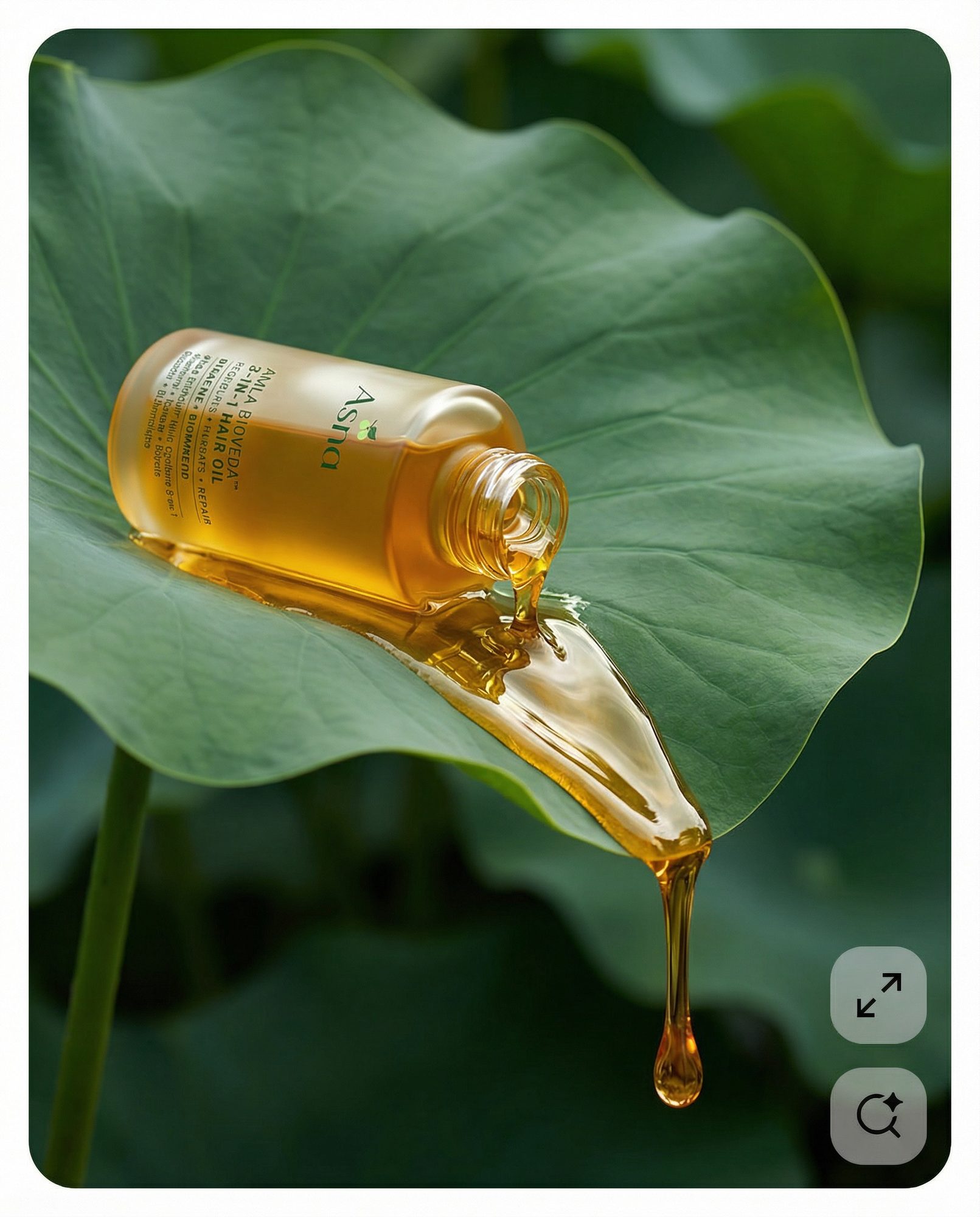 Product & Campaign